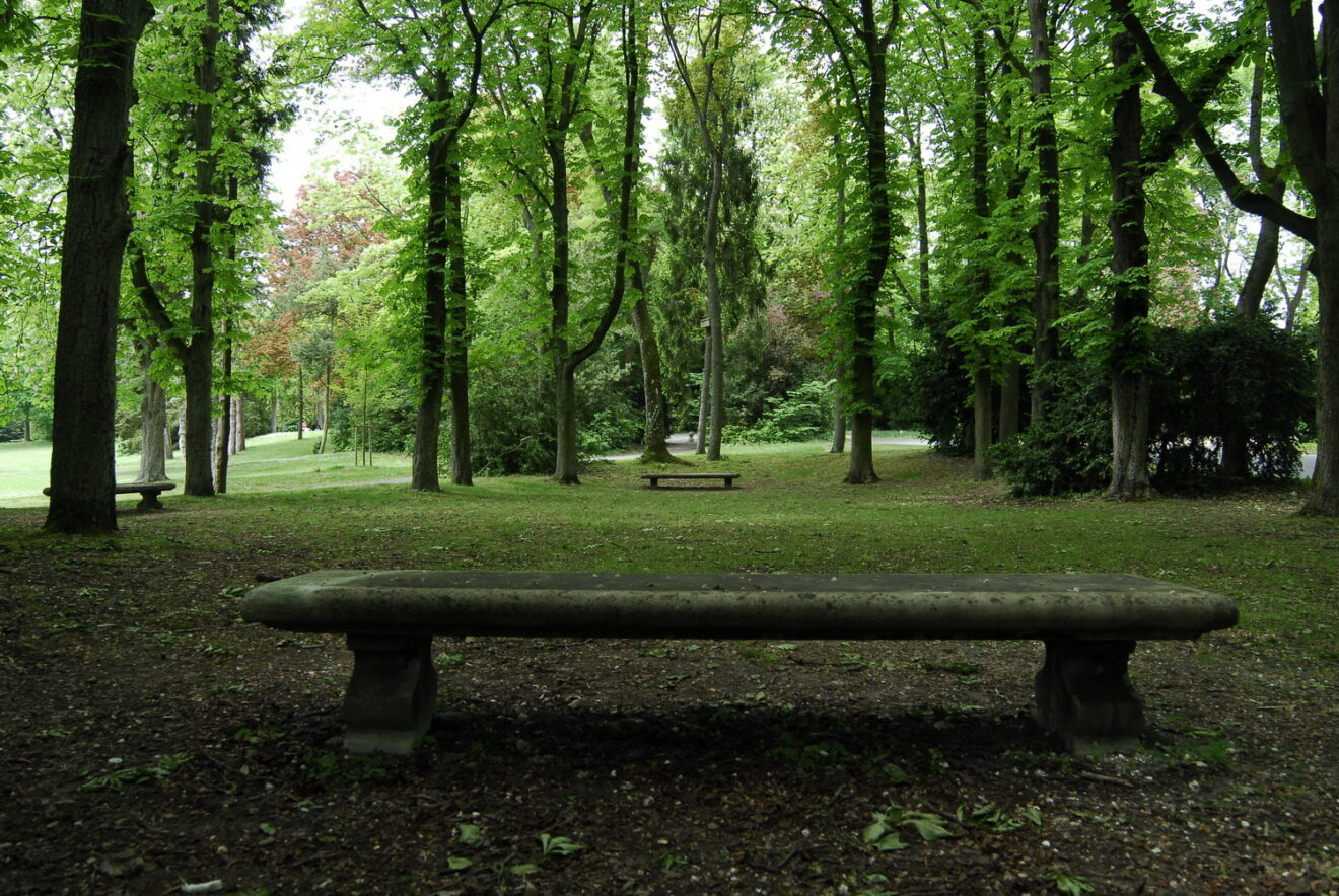 Balade Au Parc De Champagne – Groupe D’entr’aide Mutuelle Et Café ...